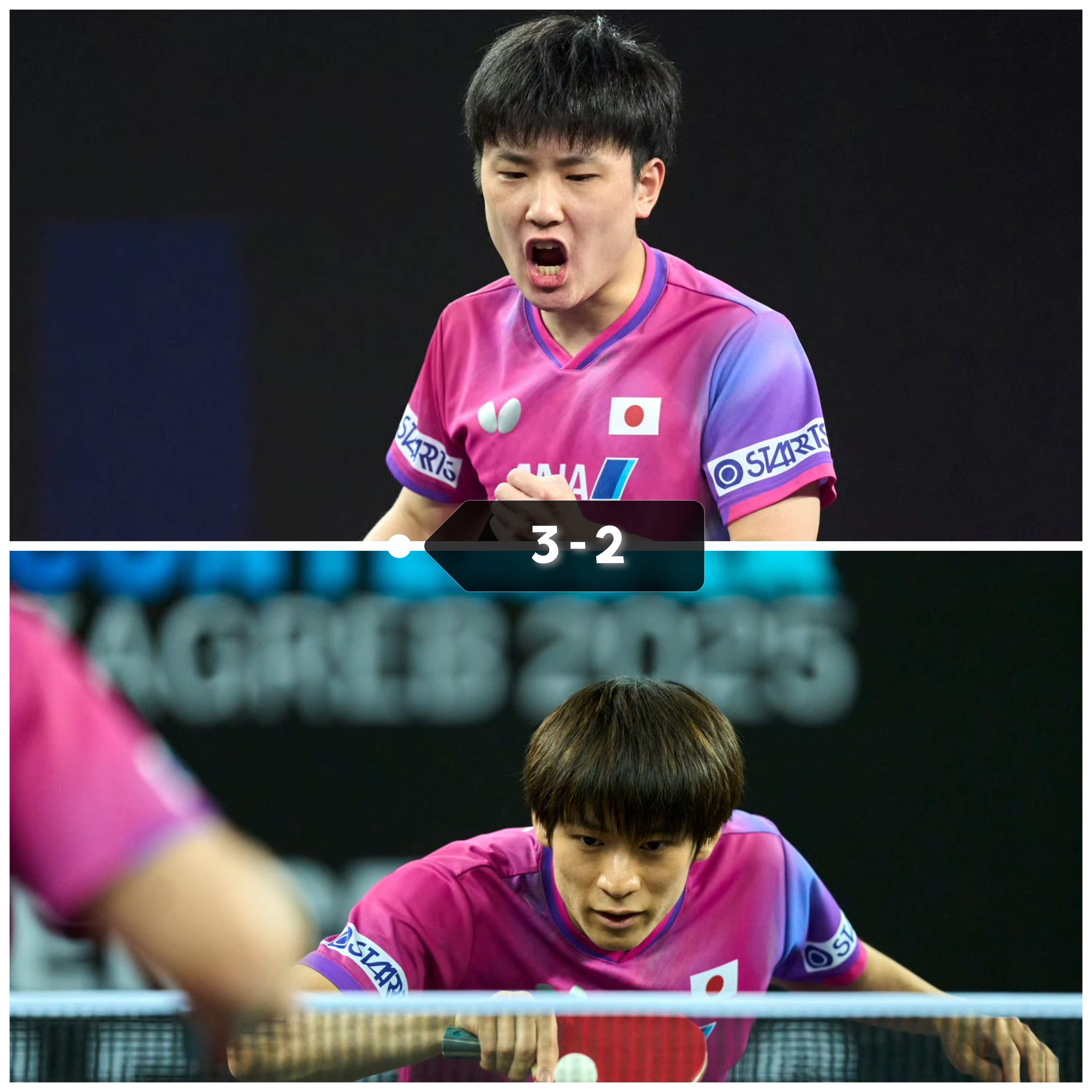 爱游戏大厅-波兰队险胜法国队，张本智和关键制胜