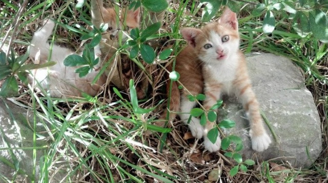 未竟的翻盘，鲁德在巴黎用年终总决赛的纪录，为伦敦拉沃尔杯的遗憾落款