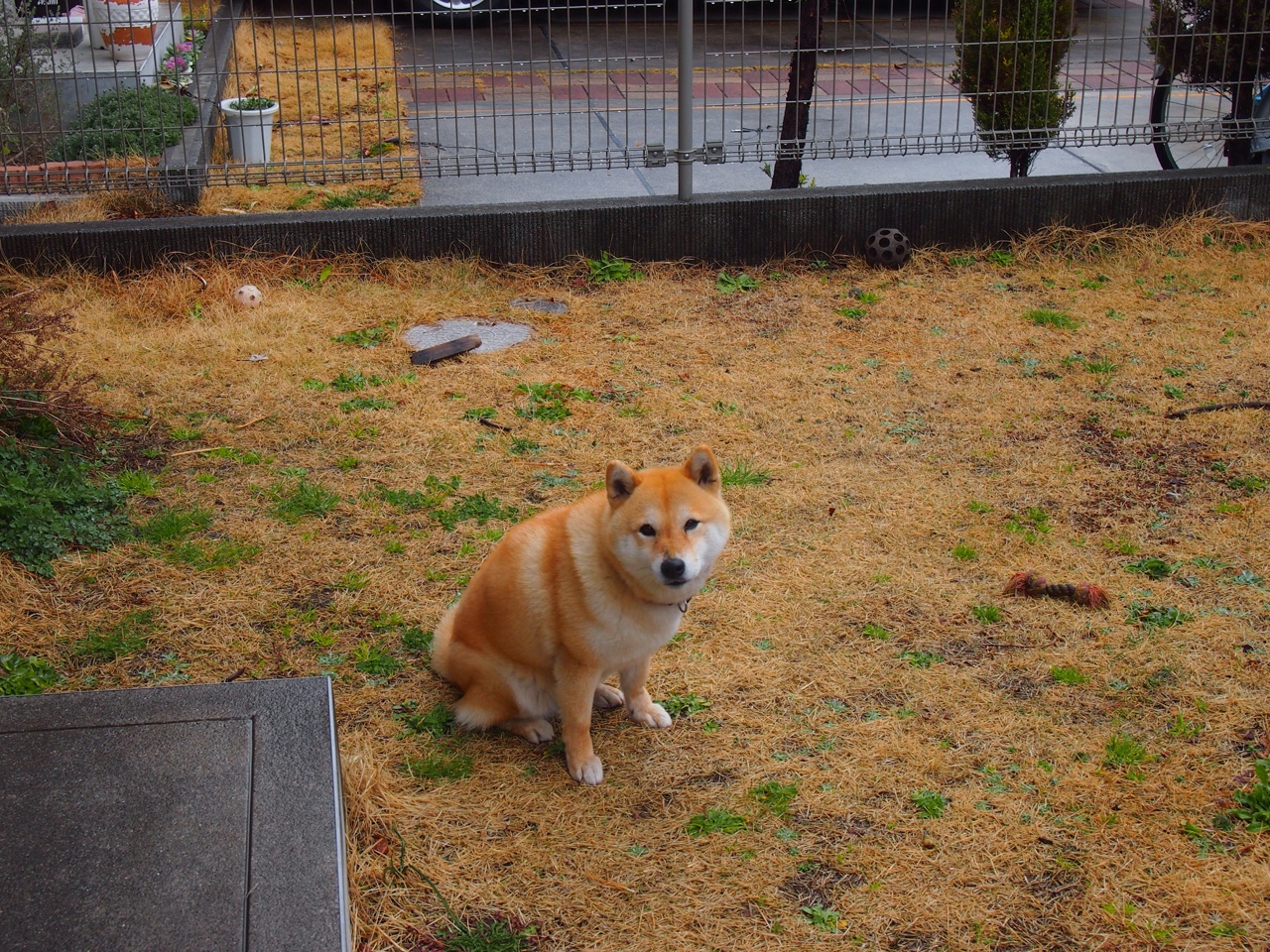 爱游戏官网-一位伟大对手的诚实总结，当波尔状态火热，却无法阻止中国队