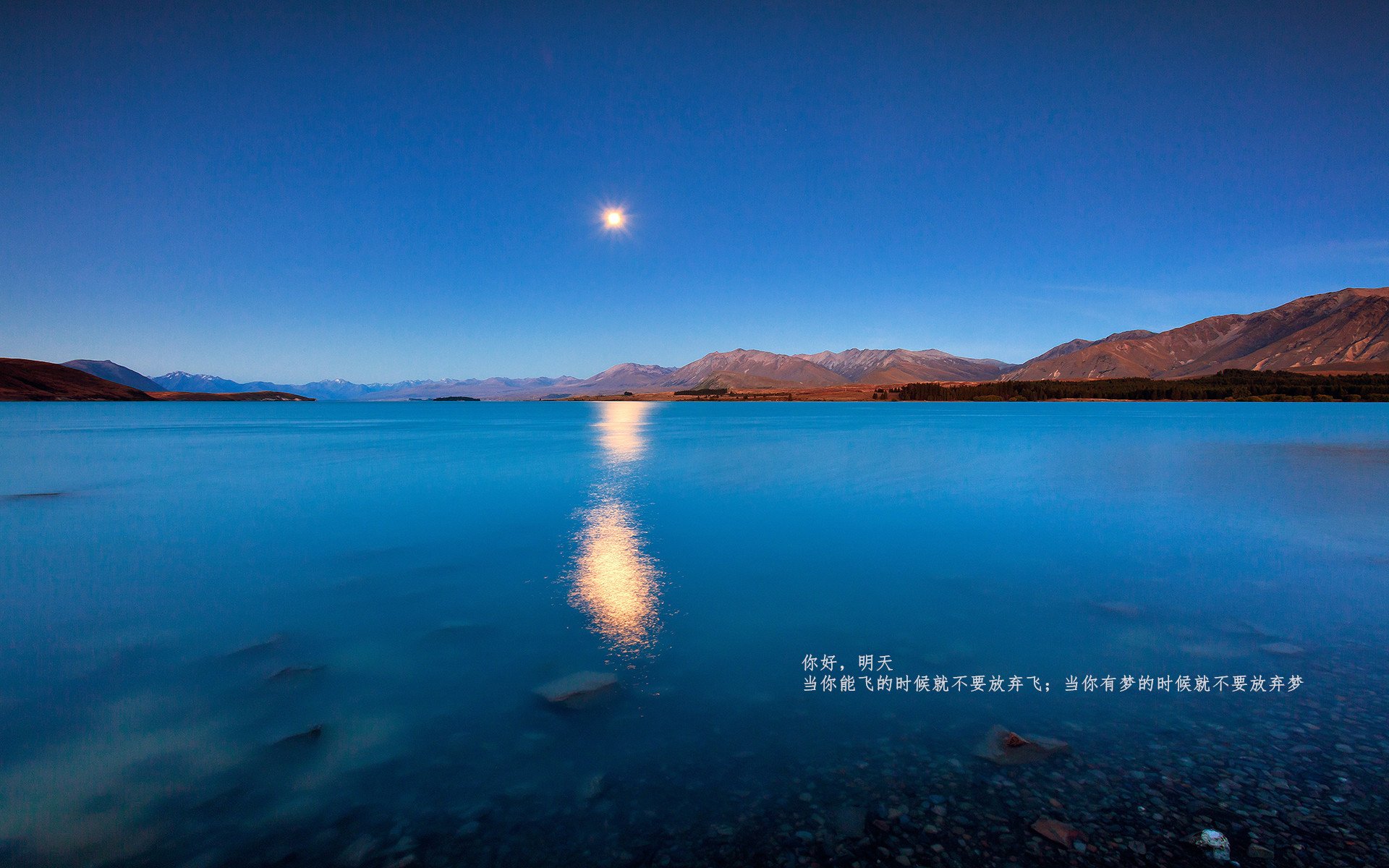 篮下无二心，从新疆的团队风暴到约基奇的个人传奇