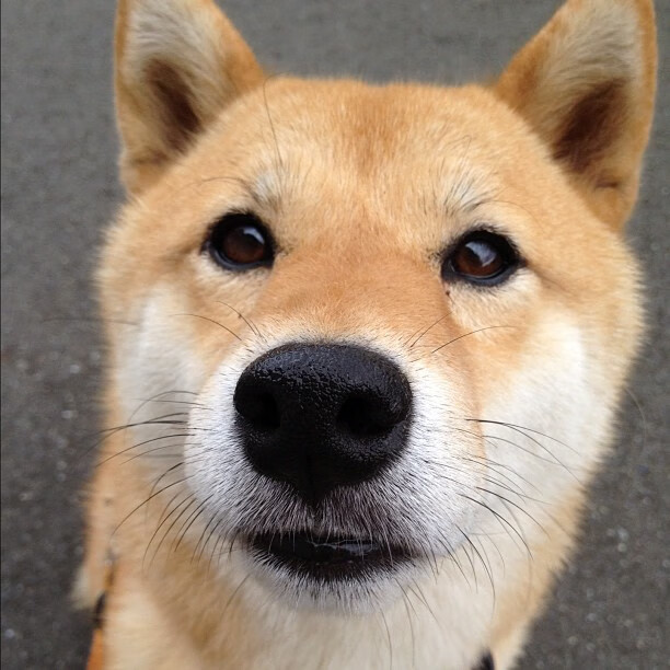 绝望中的光芒，梁靖崑三战定乾坤，韩国队绝境逆转的惊人真相