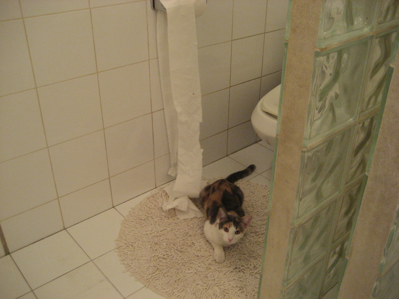 聚光灯下的天选之子，当摩洛哥的铁壁扼杀红龙之梦，奥斯梅恩正吞噬每一个舞台