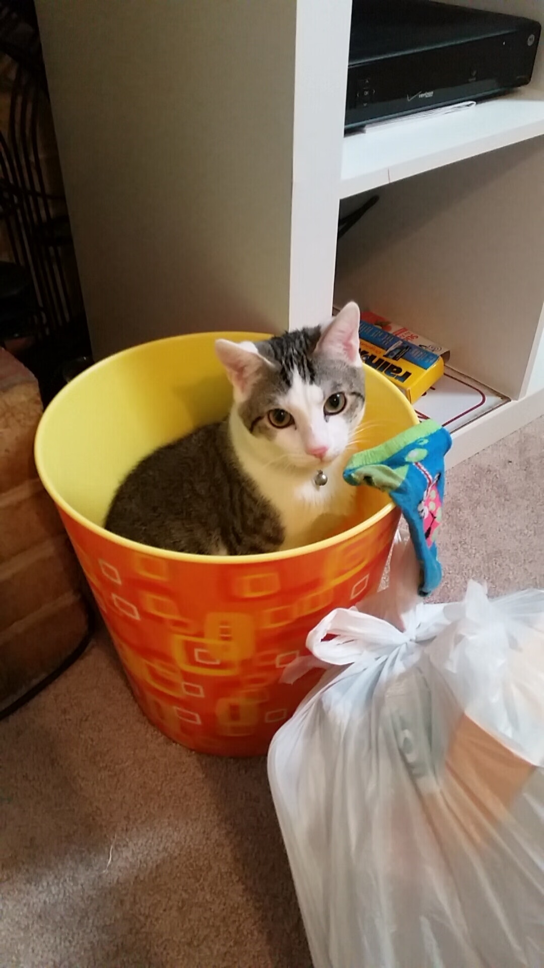 爱游戏下载-辽宁更衣室的战术板背面，写着2026年世界杯的秘密