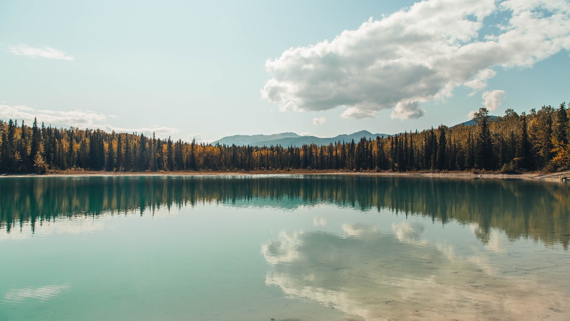 爱游戏官方入口-静默刺客，英格拉姆于无声处听惊雷，黄蜂阵前再证硬仗王魂