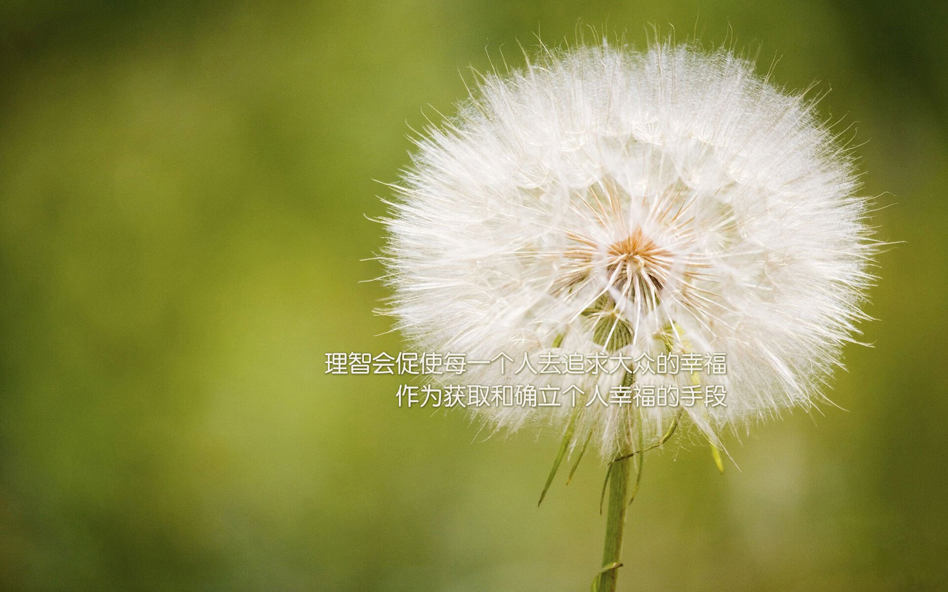 基耶萨终场绝杀智利劲旅，皇马关键先生一战成名