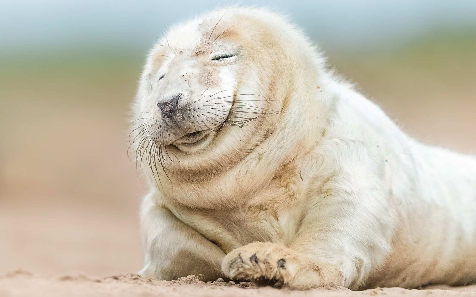 时空独此一份，当季后赛夜幕降临，勒布朗·詹姆斯就是那唯一的神谕