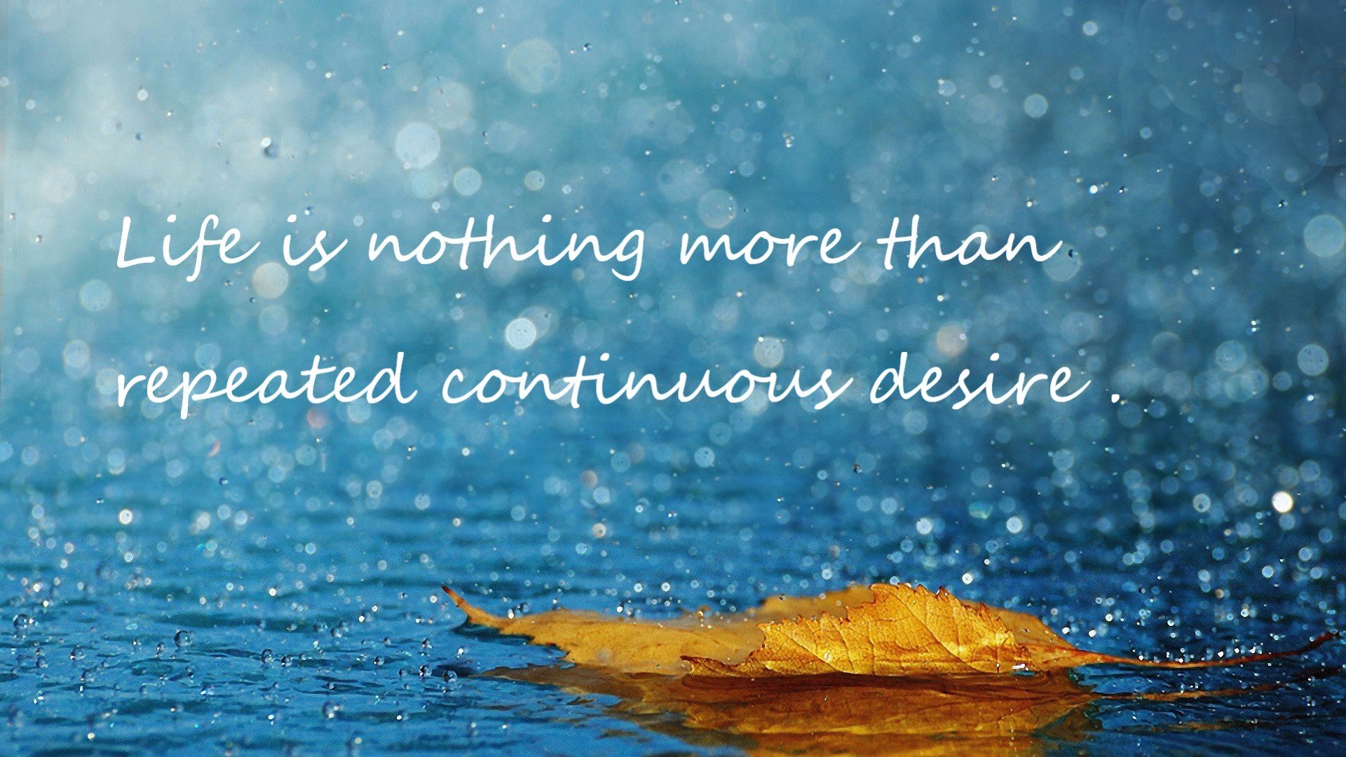 黑暗骑士的黎明，2026世界杯之夜，马克西于冰雨中贡献制胜表现