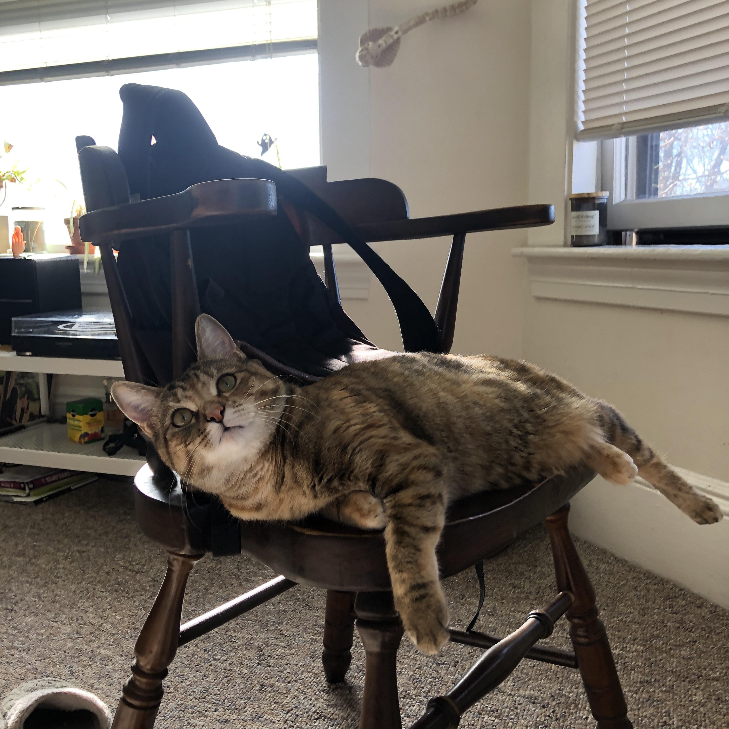 沙漠玫瑰绽放在冰川之国,卡塔尔决胜局神奇带走爱尔兰