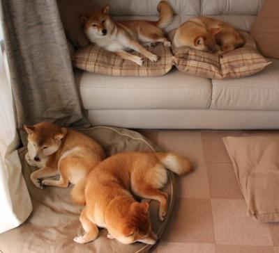 德意志闪电与永恒之城的淬火，当格纳布里爆发遇见罗马加时奇迹