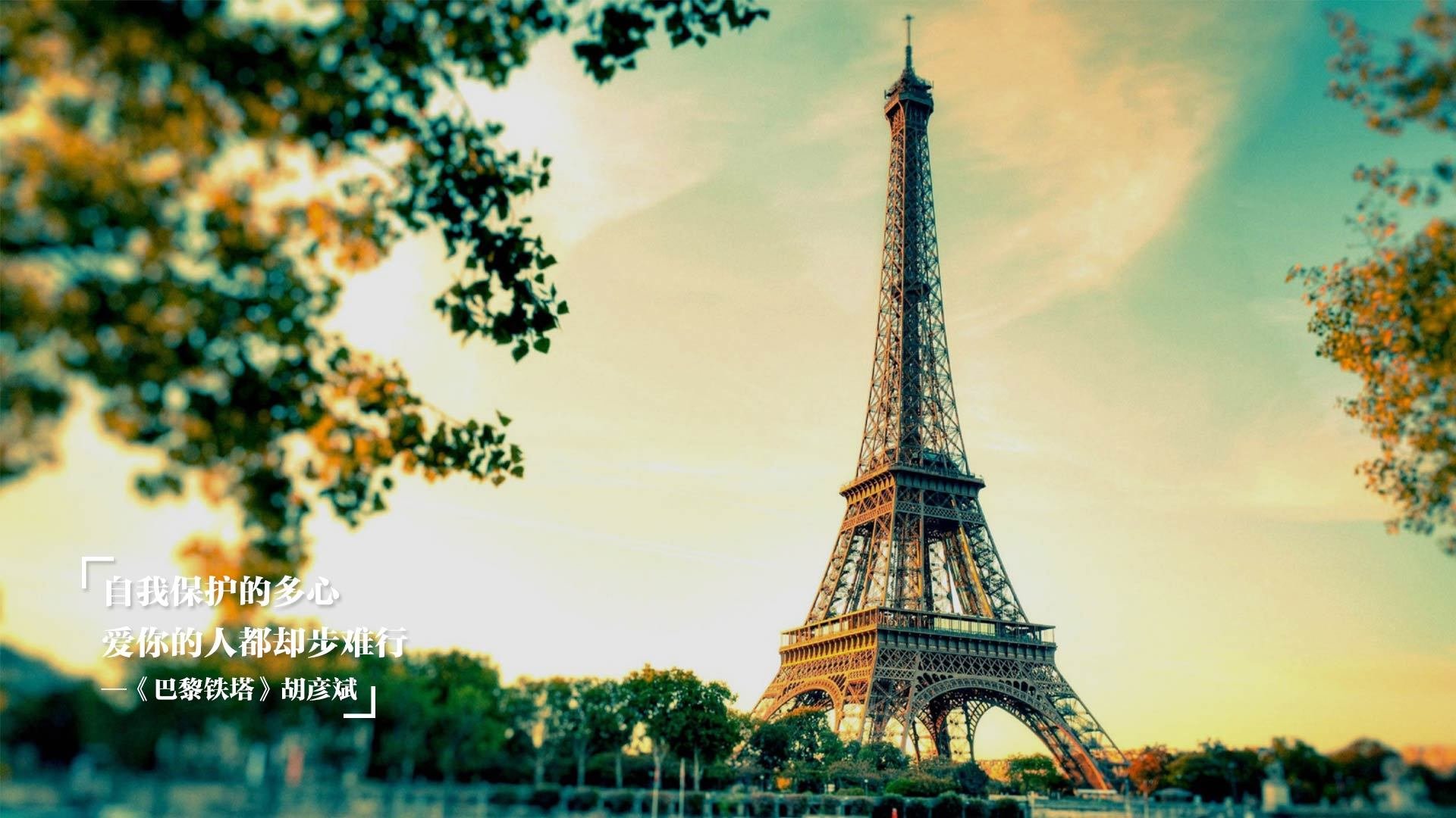 南非式突围，从绿茵场到橄榄球场，弱者的唯一性逆袭