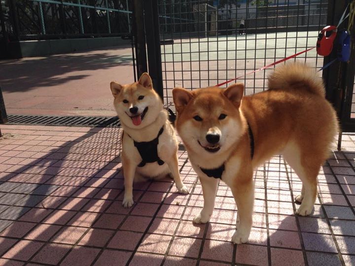 当引擎轰鸣遇见蓝月出鞘，阿圭罗在F1街道赛之夜的非典型个人秀