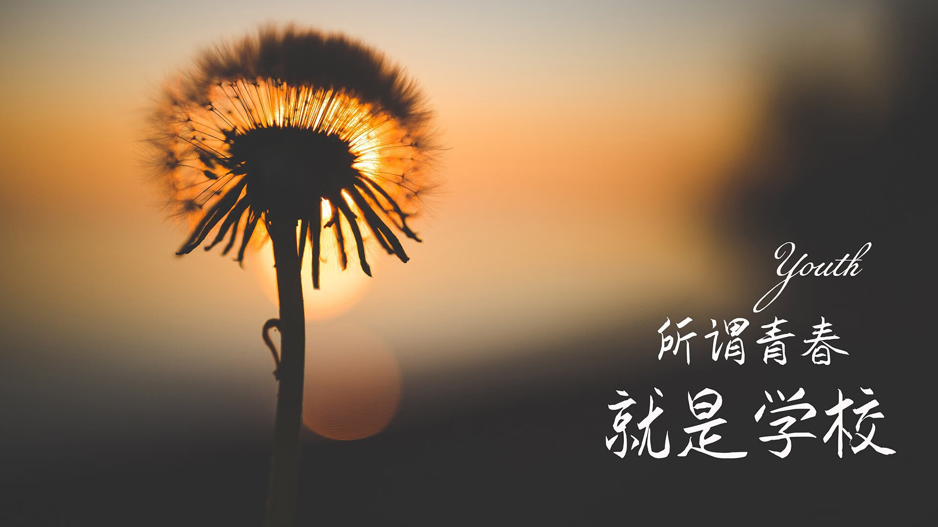 爱游戏官方-孤星耀世，2026世界杯A组最强对话，罗德里戈独舞，哥伦比亚撕裂罗马尼亚