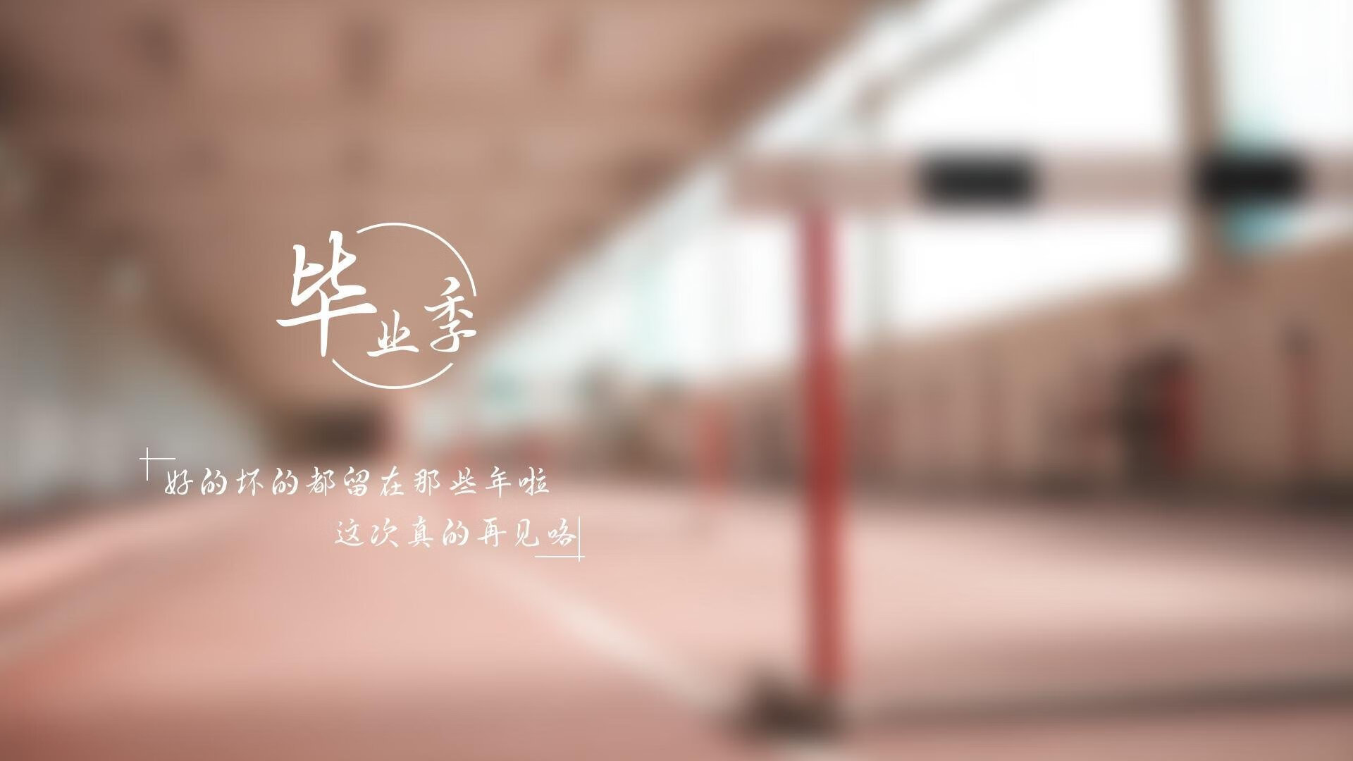 独步极光之下,坎塞洛的完美夜晚,塞尔维亚在2026世界杯出线战中碾碎芬兰童话